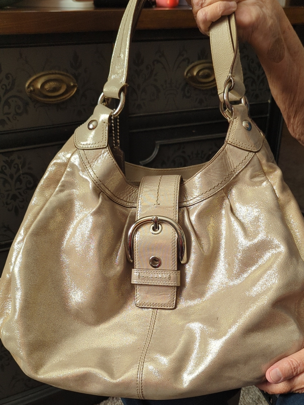 Coach 2011 Soho Lynn Leather Hobo Shoulder Bag
